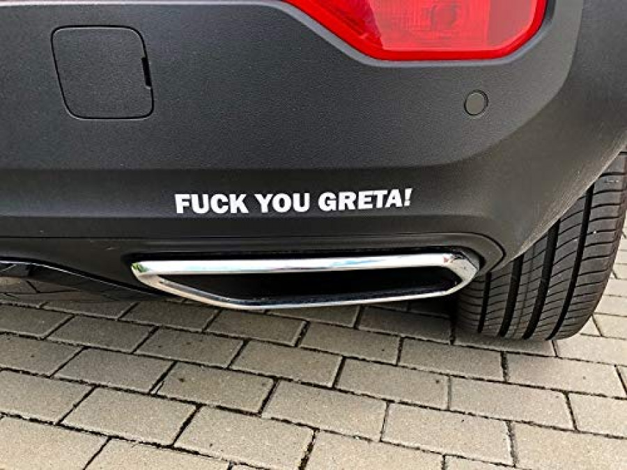 Image result for fuck you greta