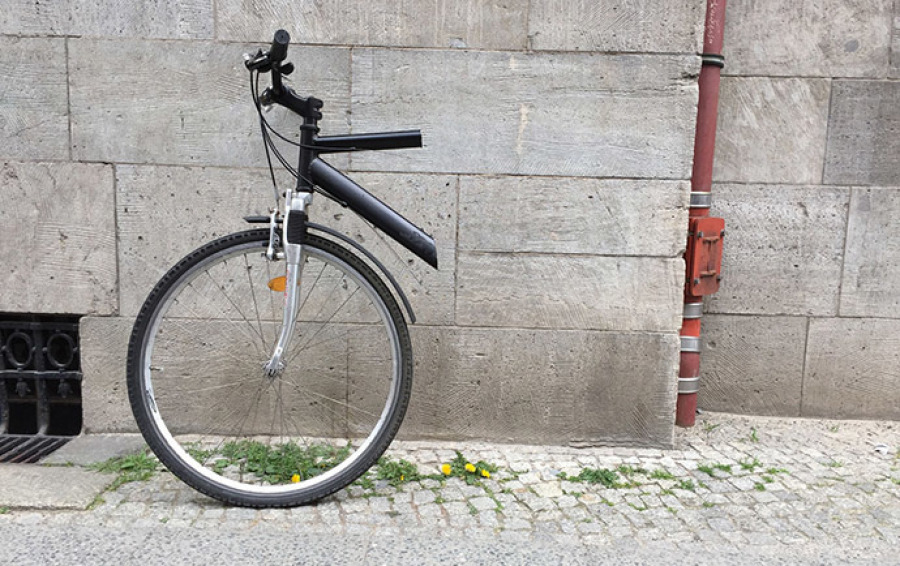 Bild: 