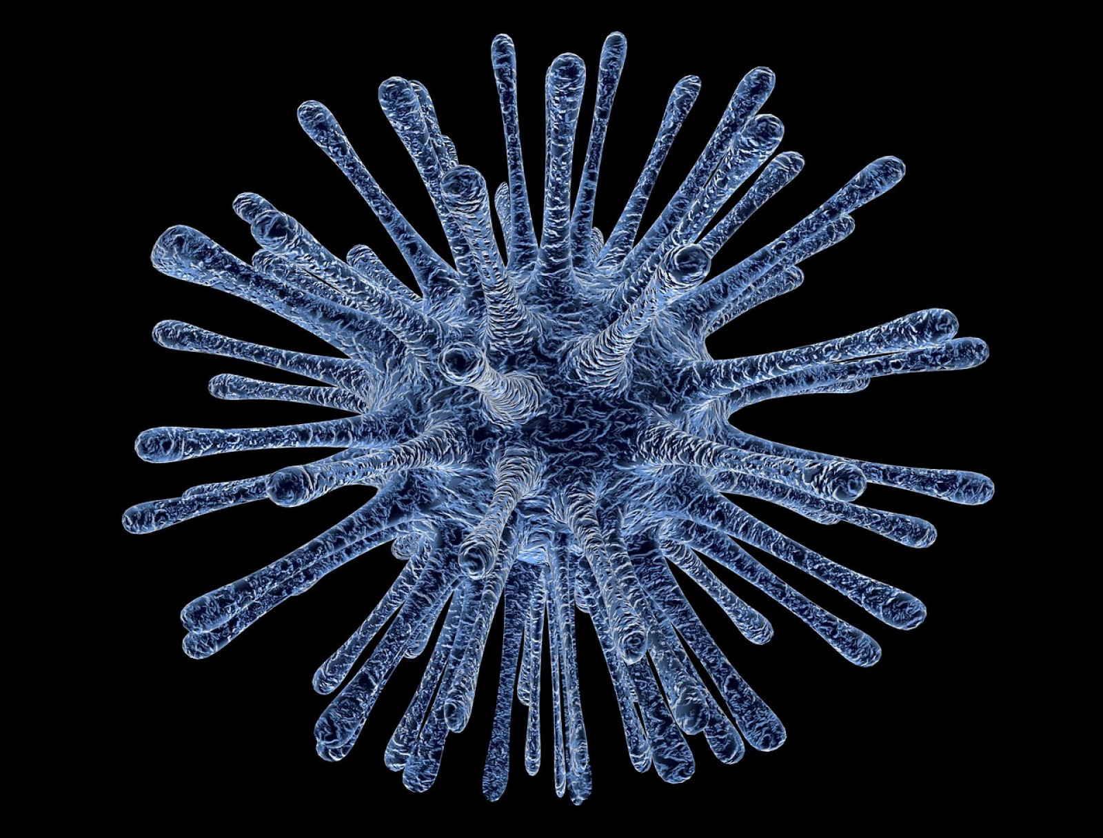Virus kan göra oss mer intelligenta Fria Tider